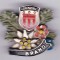 Insigna straina - montana