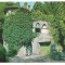 #carte postala(ilustrata)-CALIMANESTI-vedere