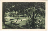 CP Buzias parcul editata in 1939 Ilustratia Gherla