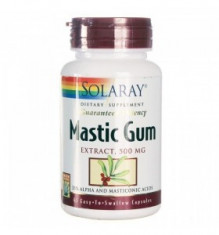 Mastic Gum 45Cps Secom foto