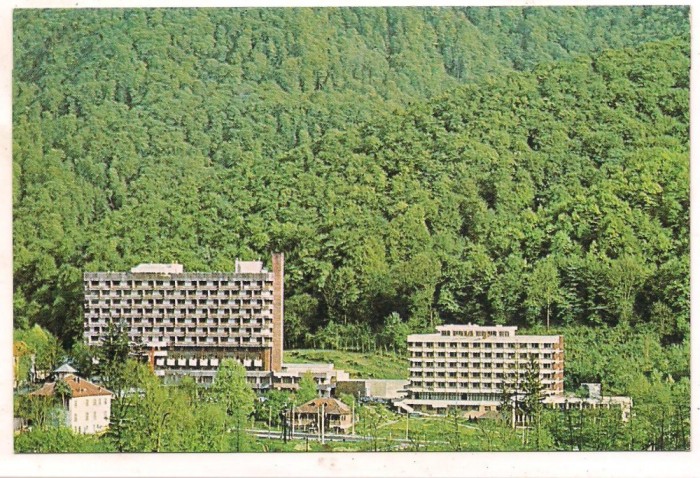 #carte postala(ilustrata)-CACIULATA-vedere