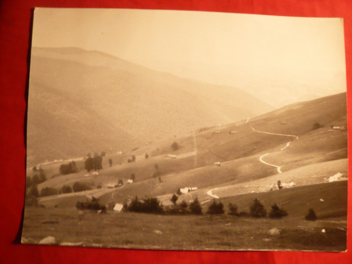 Fotografie veche ,mare ,23,8x17,7 cm - Vedere de la Munte - Romania