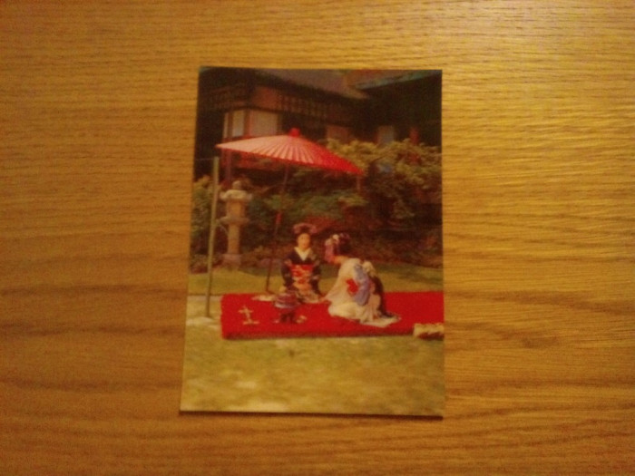 ARTA DE SERVI CIAIUL - Asahi Kigyo co. - carte postala color, necirculata