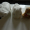 Set de 5 jucarii de plus, urs polar, 2 ursuleti, catel, hipopotam, jucarioare