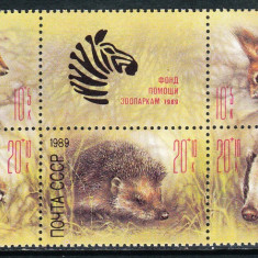 !!! RUSIA - ANIMALE SALBATICE 1989 - BLOC NESTAMPILAT / 120 x 55 mm