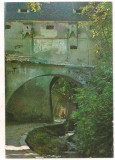 #carte postala(ilustrata)-BRASOV- aleea dupa zidurii