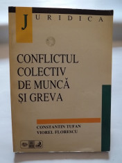 CONFLICTUL COLECTIV DE MUNCA SI GREVA - CONSTANTIN TUFAN, VIOREL FLORESCU foto