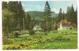 #carte postala(ilustrata)-BORSEC