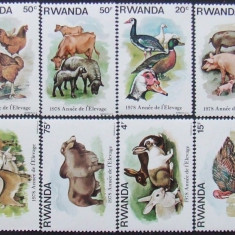 RWANDA 1978 - FAUNA DOMESTICA 8 VALORI, NEOBLITERATE - RW 022