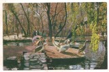 #carte postala(ilustrata)-BUCURESTI-vedere din gradina Cismigiu