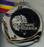 ATAM2001 MEDALIE 142 - SPORTURI DE IARNA - OLYMPIC ROMANIA -BRASOV 2013 - (AU PARTICIPAT TINERI INTRE 14 SI 18 ANI) - PANGLICA -starea care se vede