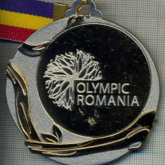 ATAM2001 MEDALIE 142 - SPORTURI DE IARNA - OLYMPIC ROMANIA -BRASOV 2013 - (AU PARTICIPAT TINERI INTRE 14 SI 18 ANI) - PANGLICA -starea care se vede