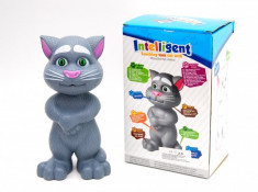 MOTANUL TALKING TOM inteligent cat foto