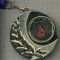 ATAM2001 MEDALIE 240 - COMPETITIE DE DANS -CUPA ,,BEIJA -FLOR&quot; EDITIA A VI-A -24-25 NOIEMBRIE 2012 -PANGLICA TRICOLORUL ROMANIEI-starea care se vede