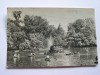 Bucurest - Vedere din Cismigiu (barci pe lac )RPR, Circulata, Printata
