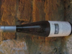 RIESLING 1994 GERMANIA foto