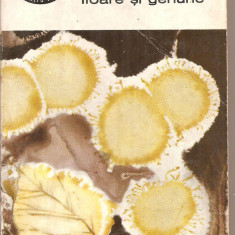 (C5338) FLOARE SI GENUNE DE PANAIT CERNA, EDITURA PENTRU LITERATURA, 1968