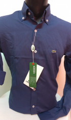 CAMASA /CAMASI LACOSTE slim fit BUMBAC 100% CALITATE !!! foto