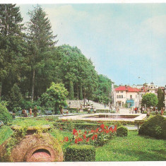 #carte postala(ilustrata)-VALCEA-GOVORA-vedere din parc