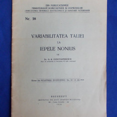 DR.G.K.CONSTANTINESCU - VARIABILITATEA TALIEI LA IEPELE NONIUS - BUCURESTI - 1926