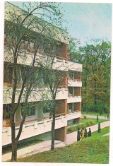 #carte postala(ilustrata)-TIMIS-Buzias