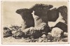 #carte postala(ilustrata)-BABELE-M-tii Bucegi, Circulata, Fotografie