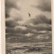 #carte postala(ilustrata)-CONSTANTA-Peisaj marin