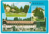 #carte postala(marca fixa)-BORSEC, Circulata, Printata