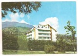 #carte postala(marca fixa)-MARAMURES-Borsa, Circulata, Printata