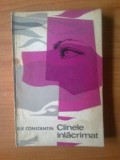 c Cainele inlacrimat - Ilie Constantin