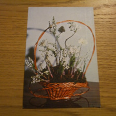 FELICITARE ( carte postala ) * Cos cu Flori - flori de primavara - dim. : 10x15cm