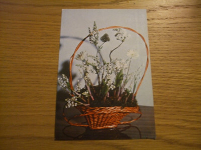 FELICITARE ( carte postala ) * Cos cu Flori - flori de primavara - dim. : 10x15cm foto