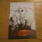 FELICITARE (carte postala) Cos cu Flori - Flori de Primavara - dim. : 10x15cm