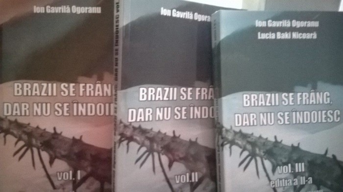 brazii se frang dar nu se indoiesc brazii se frang dar nu se indoiesc