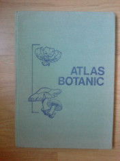 w Atlas botanic-Prefata Lucia Popovici, Dr. Docent, Conf. Univ. Constanta Moruzi,Grafician Ion Toma (cartonata , format foarte mare , ilustrata color) foto