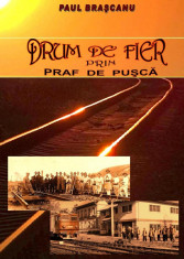 DRUM DE FIER PRIN PRAF DE PUSCA foto