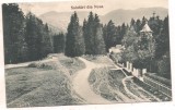 #carte postala(ilustrata)-BRASOV -Salutari din Noua