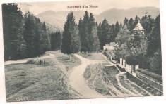 #carte postala(ilustrata)-BRASOV -Salutari din Noua