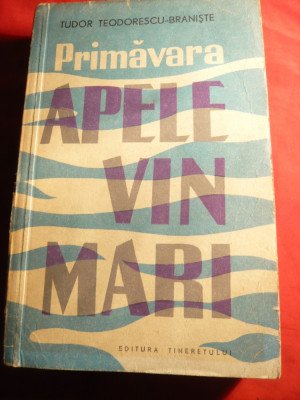 Tudor Teodorescu Braniste - Apele vin mari -Prima Ed. 1960 foto