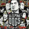 Sleeping Dogs Collection pentru PC - Produs DIGITAL - STEAM - SapShop