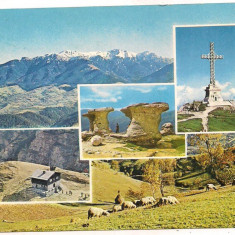 #carte postala(marcafixa)-MUNTII BUCEGI