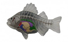 jibbitz CROCS - bijuterii/accesorii Translucent fish bones foto
