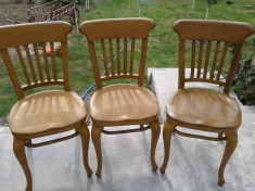3 scaune thonet austriac ,cu eticheta si ars ,perioada 1900. REDUCERE foto