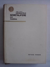 Zacaminte nemetalifere din Romania - Viorel Brana (Geologie) / C35P foto