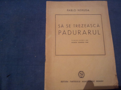 PABLO NERUDA SA SE TREZEASCA PADURARUL foto