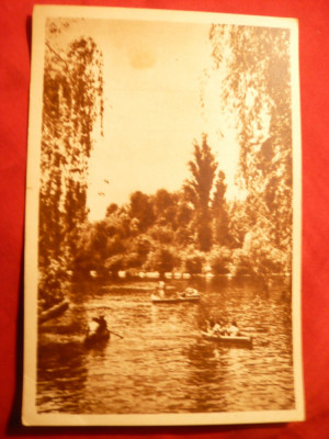 Ilustrata Bucuresti -Parcul Cismigiu circ. 1956 foto
