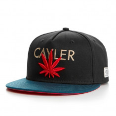 Sapca/Basca Cayler&amp;amp;amp;amp;amp;Sons Cayler Cap Snapback (colectia toamna-iarna 2014) foto