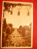 Ilustrata Bucuresti -Parcul Cismigiu cca. 1950