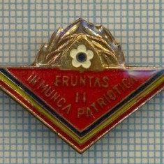 889 INSIGNA - PIONIERI - FRUNTAS IN MUNCA PATRIOTICA - clasa II -a - starea care se vede