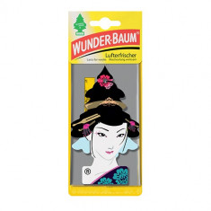 Odorizant auto bradut WUNDER-BAUM Geisha foto